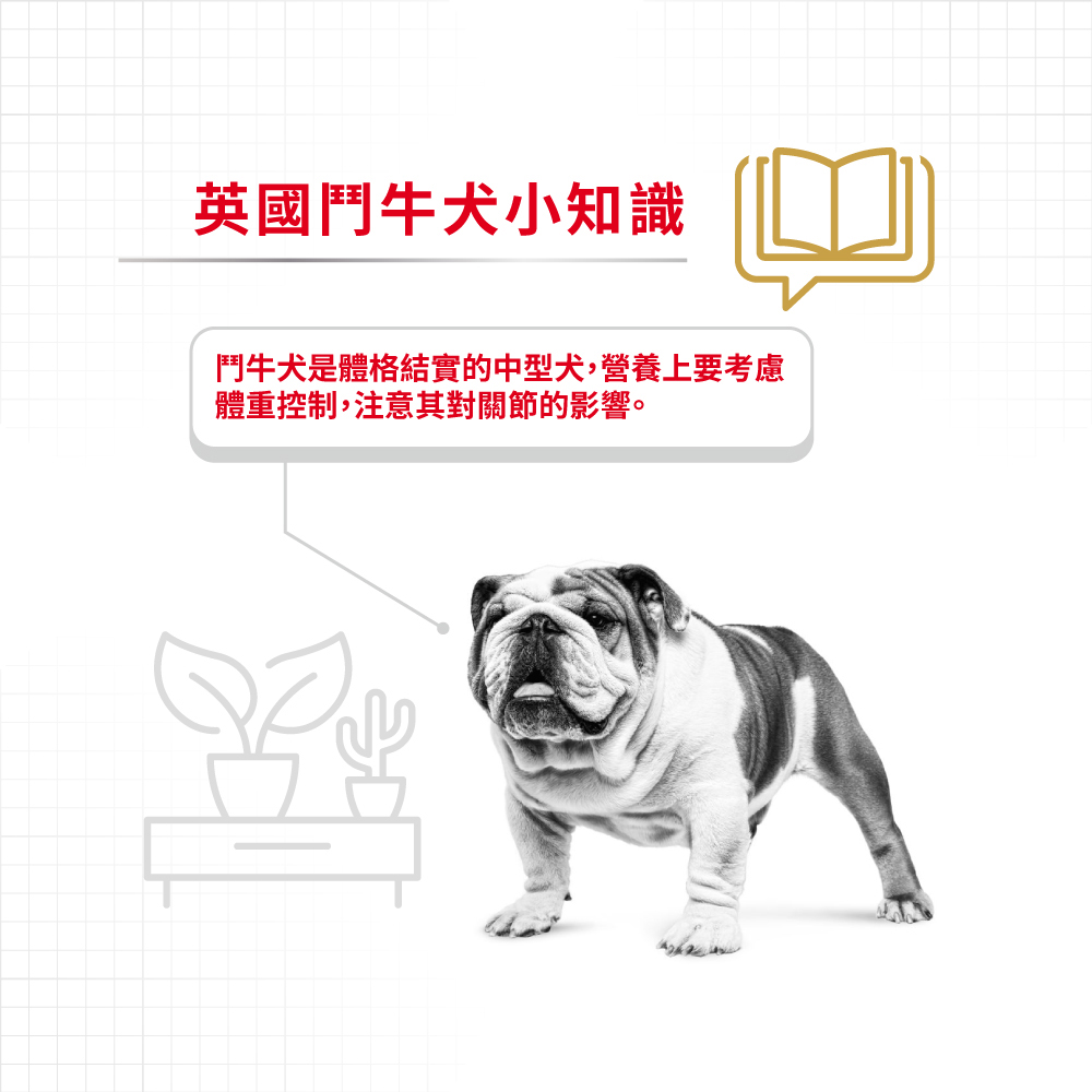 【Royal Canin法國皇家】鬥牛成犬BDA, , large