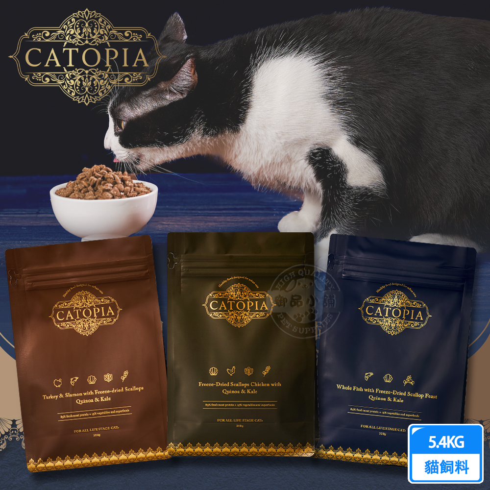 Catopia, , large