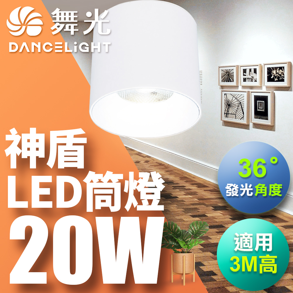 DanceLight舞光 20W 神盾筒燈 光束角36度 壓鑄鋁散熱快 全電壓 一體成形 時尚白/貴族黑(白光/黃光/自然光), , large