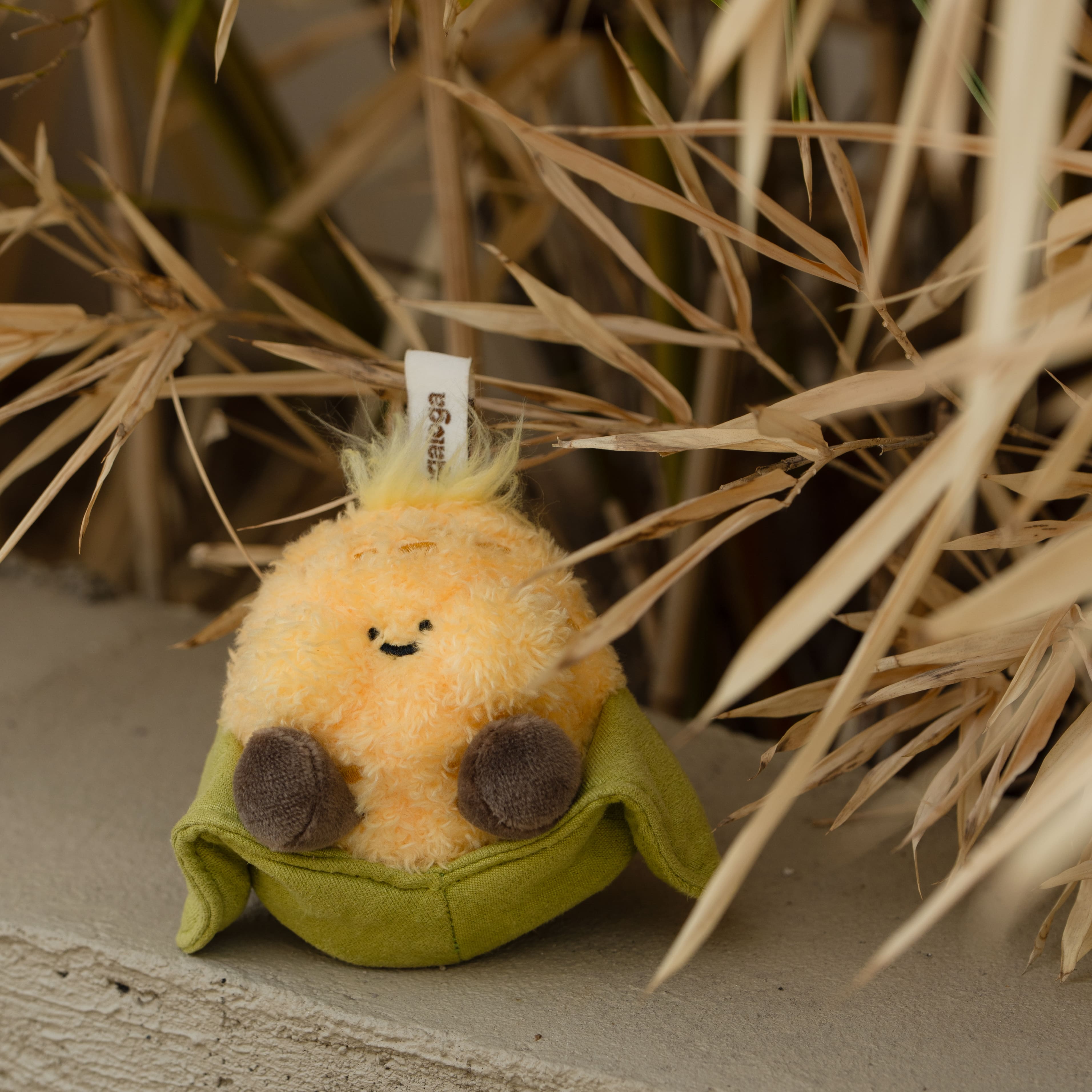 【際洋文化】遇見米好-玉米, , large