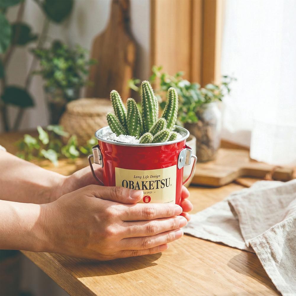 【this-this】日本渡邊金屬｜OBAKETSU 手工製多功能迷你桶 0.35L, , large