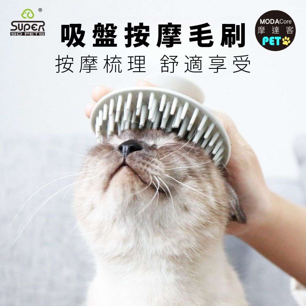 pet supplies, , large