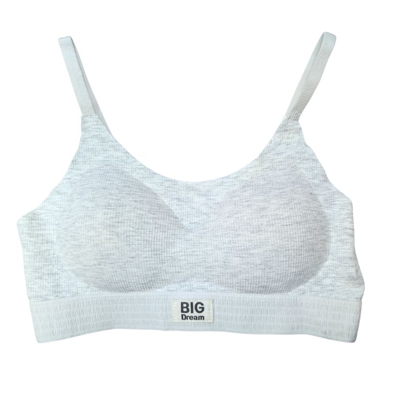 簡約舒適內衣HS-W729, , large