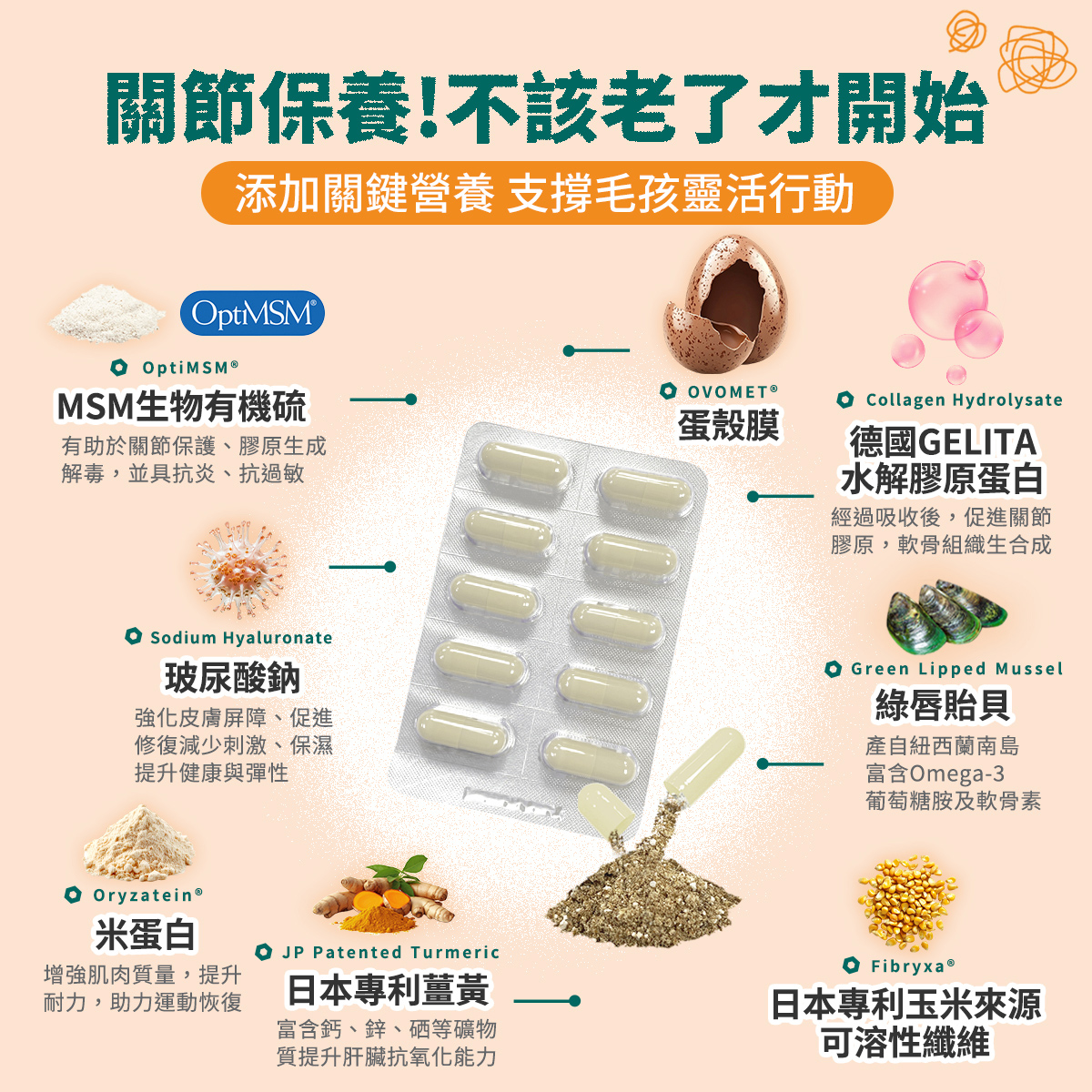 ［營活著］＜全面升級版＞ -【多國專利】護關節 MSM+(綠唇貽貝強化配方）靈活 強化 骨骼肌肉保養, , large