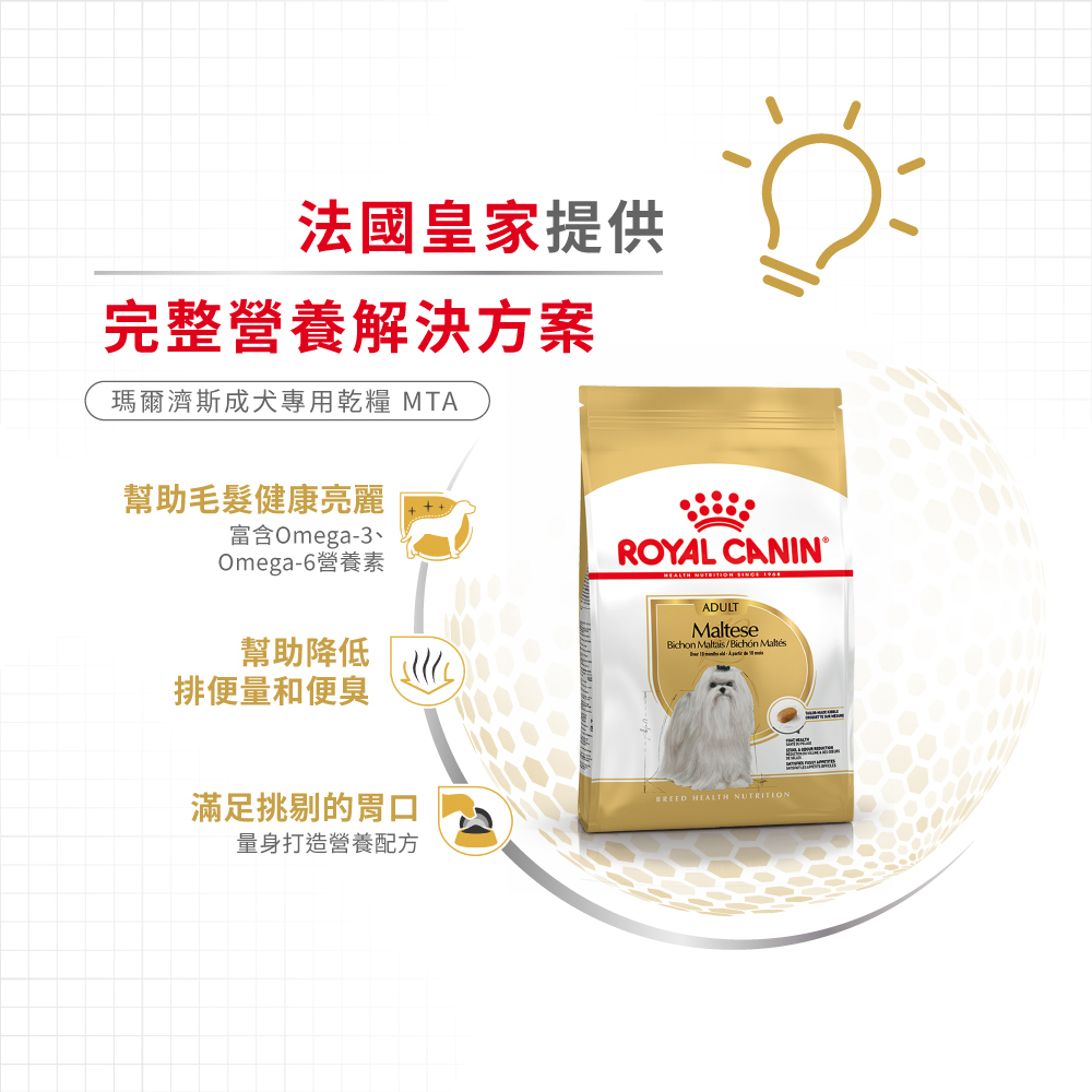 Royal Canin Maltese Adult MTA, , large