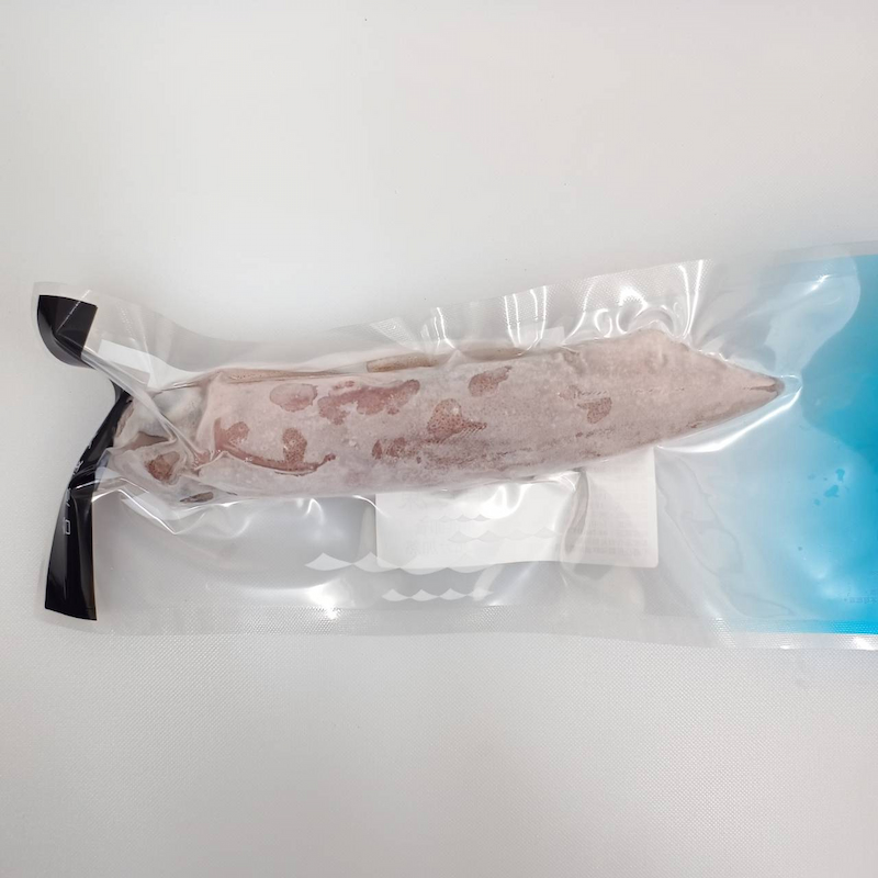 Neritic Squid, , large