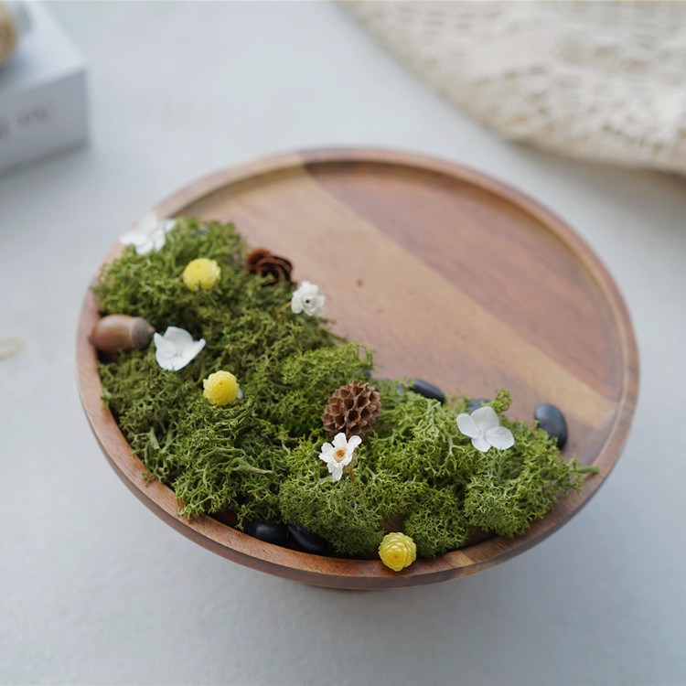 【拍拍】微型草原組-暖綠