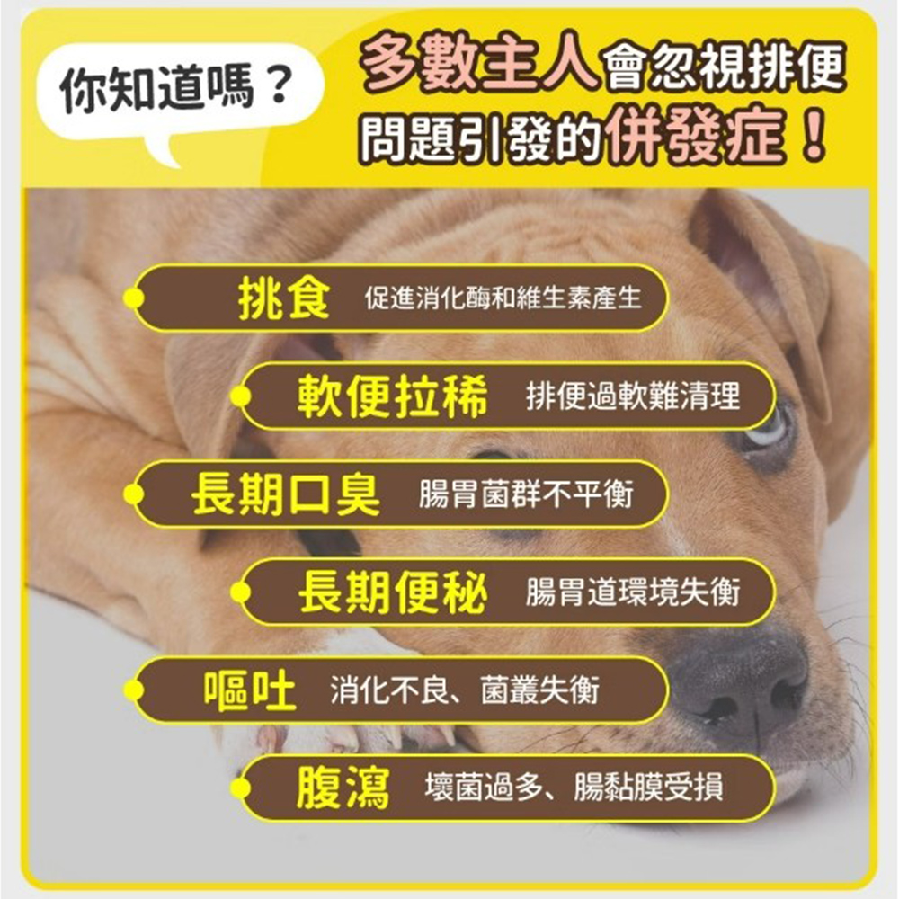 【毛孩時代】貓狗腸胃專科益生菌/貓狗腸胃保健/寵物保健(2盒/60入), , large