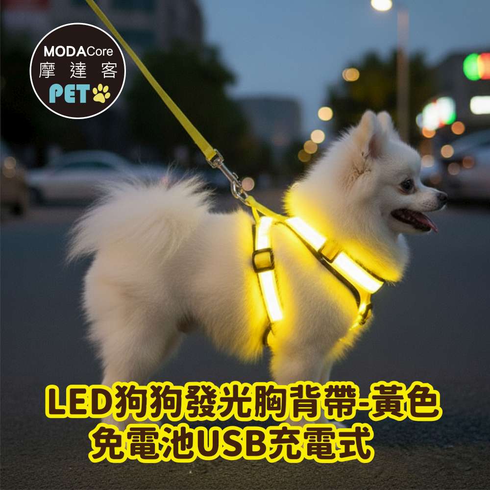 摩達客寵物-LED狗狗發光胸背帶 夜間遛狗 免電池USB充電式 兩色多尺寸  保護防撞防走失, , large