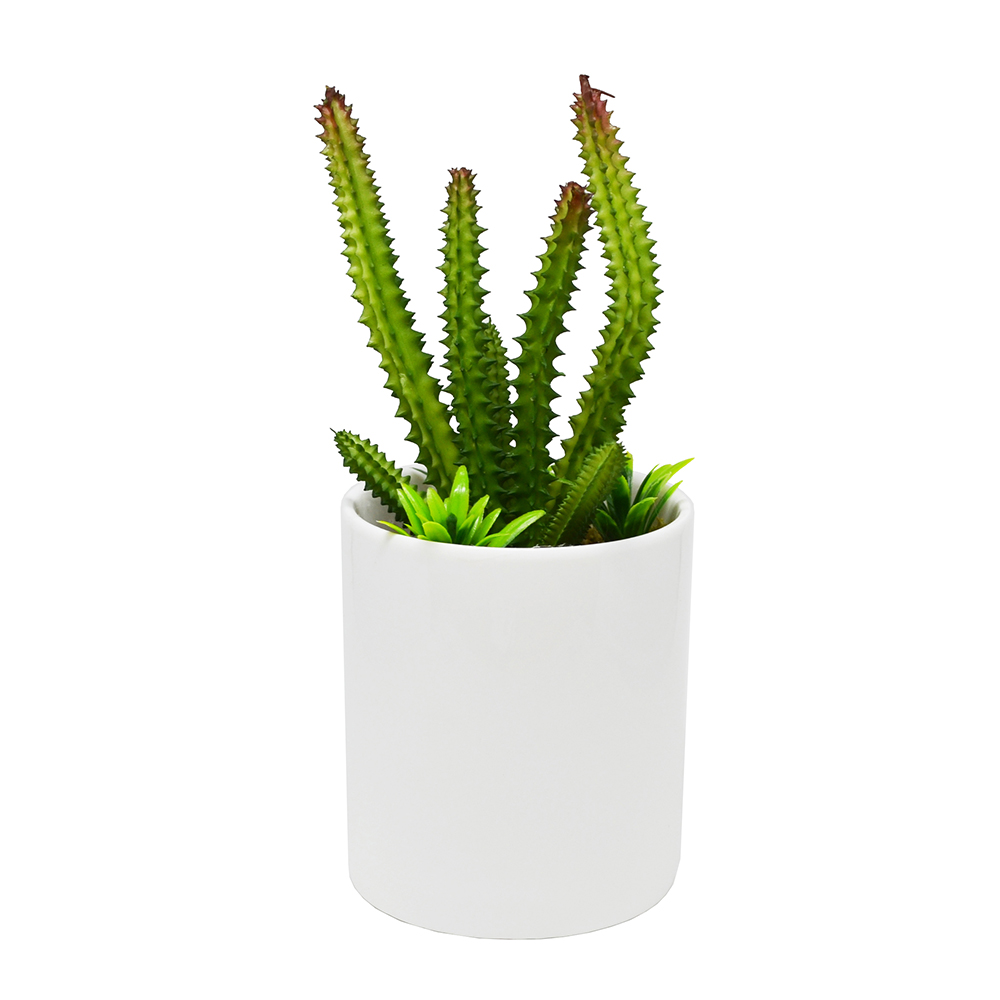 MINI ARTIFICIAL CACTUS PLANT 