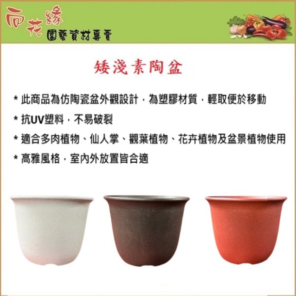 【向花緣】矮淺素陶盆 白色 - 12吋, , large