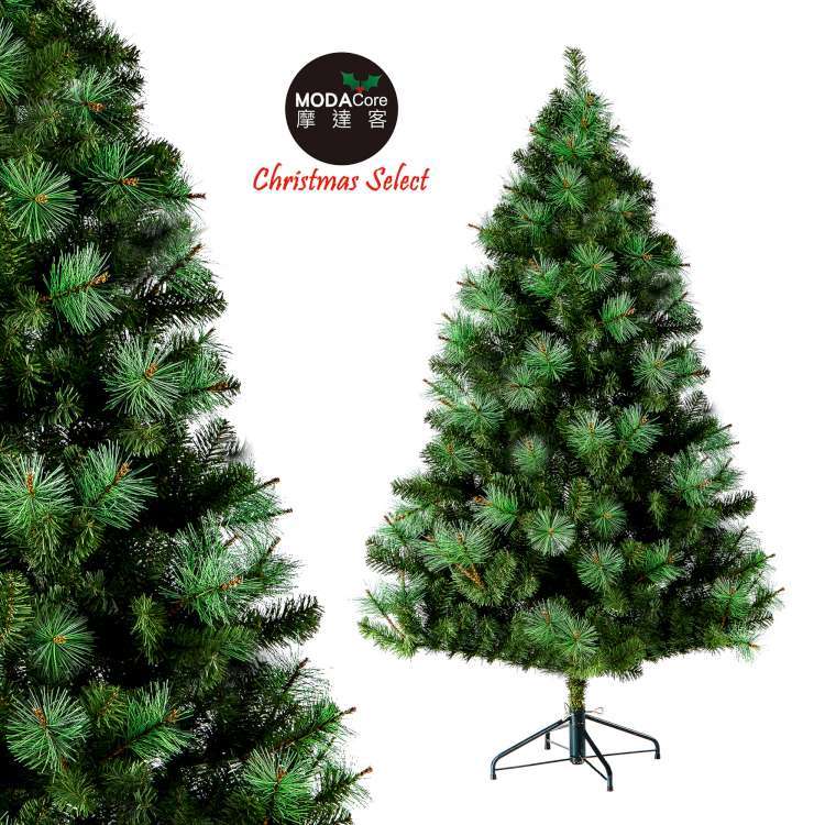 XMAS TREE, , large
