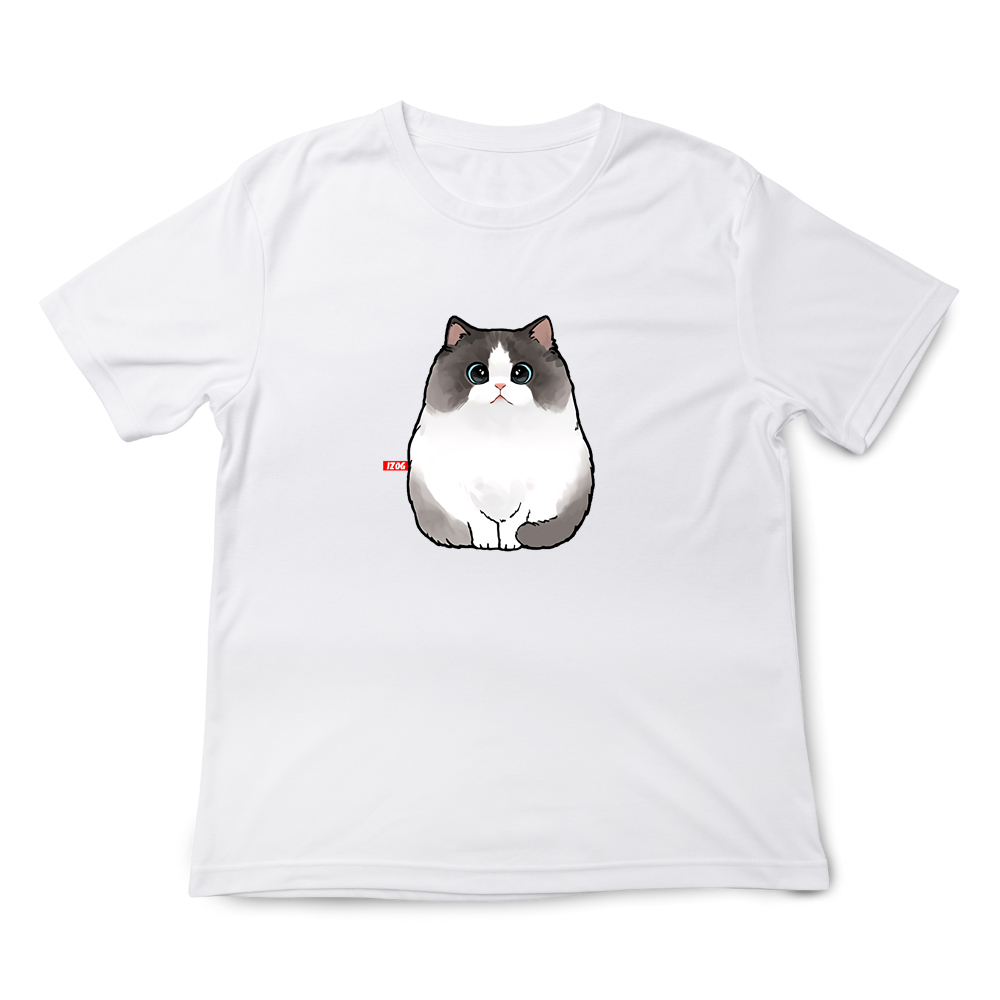 JZ TEE Ragdoll Cat Graphic Tee, , large