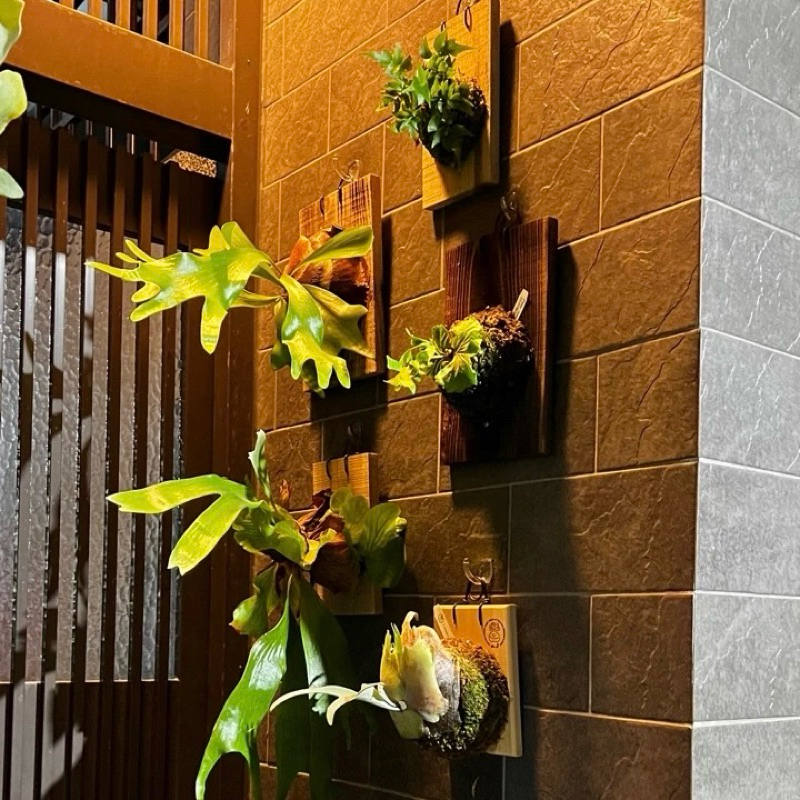 [熊好貼國際] 掛衣架（台灣製造）粗糙紋路平整不平整皆可貼 掛鉤 無痕掛勾 掛勾 無痕 門後掛架  免鑽牆 不殘膠, , large