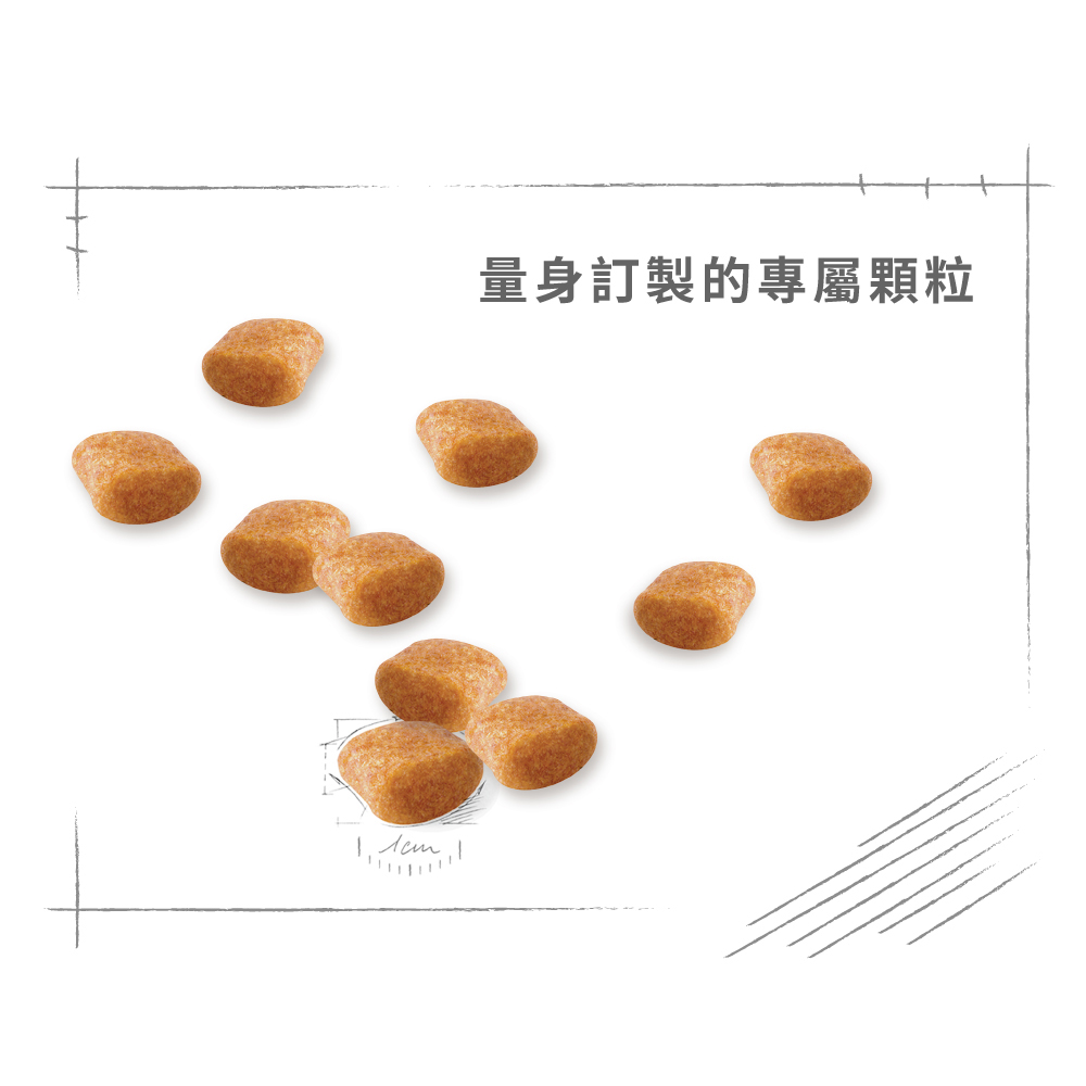 【Royal Canin法國皇家】貴賓成犬PDA, , large