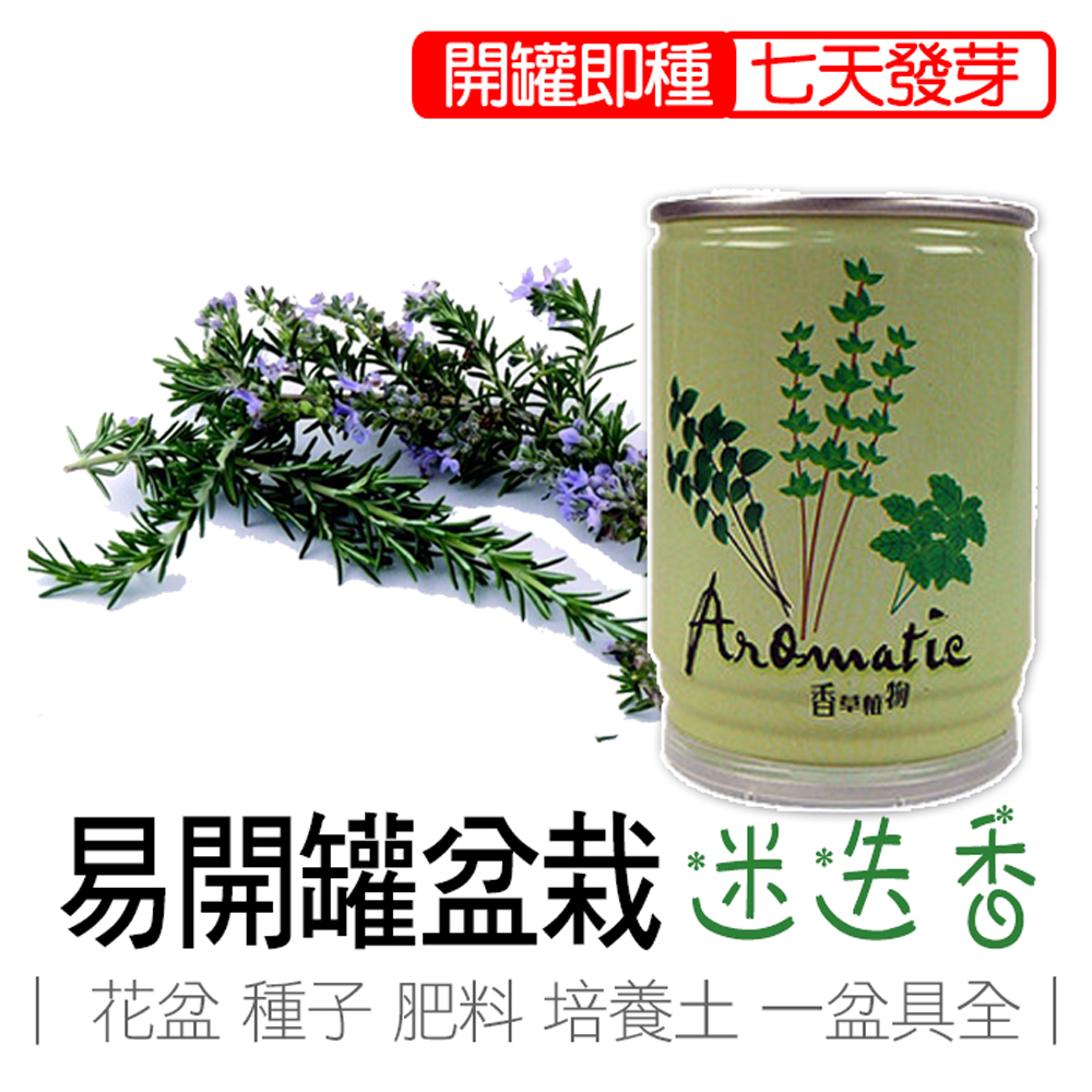 【心安購物】iPlant易開罐盆栽-迷迭香, , large