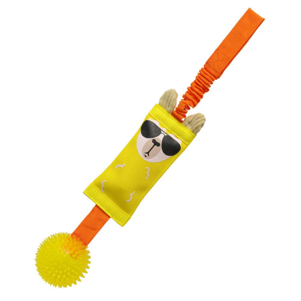 【寵愛生活本舖】酷酷熊彈力球拔河發聲玩具 寵物玩具 狗狗玩具 啃咬玩具, , large