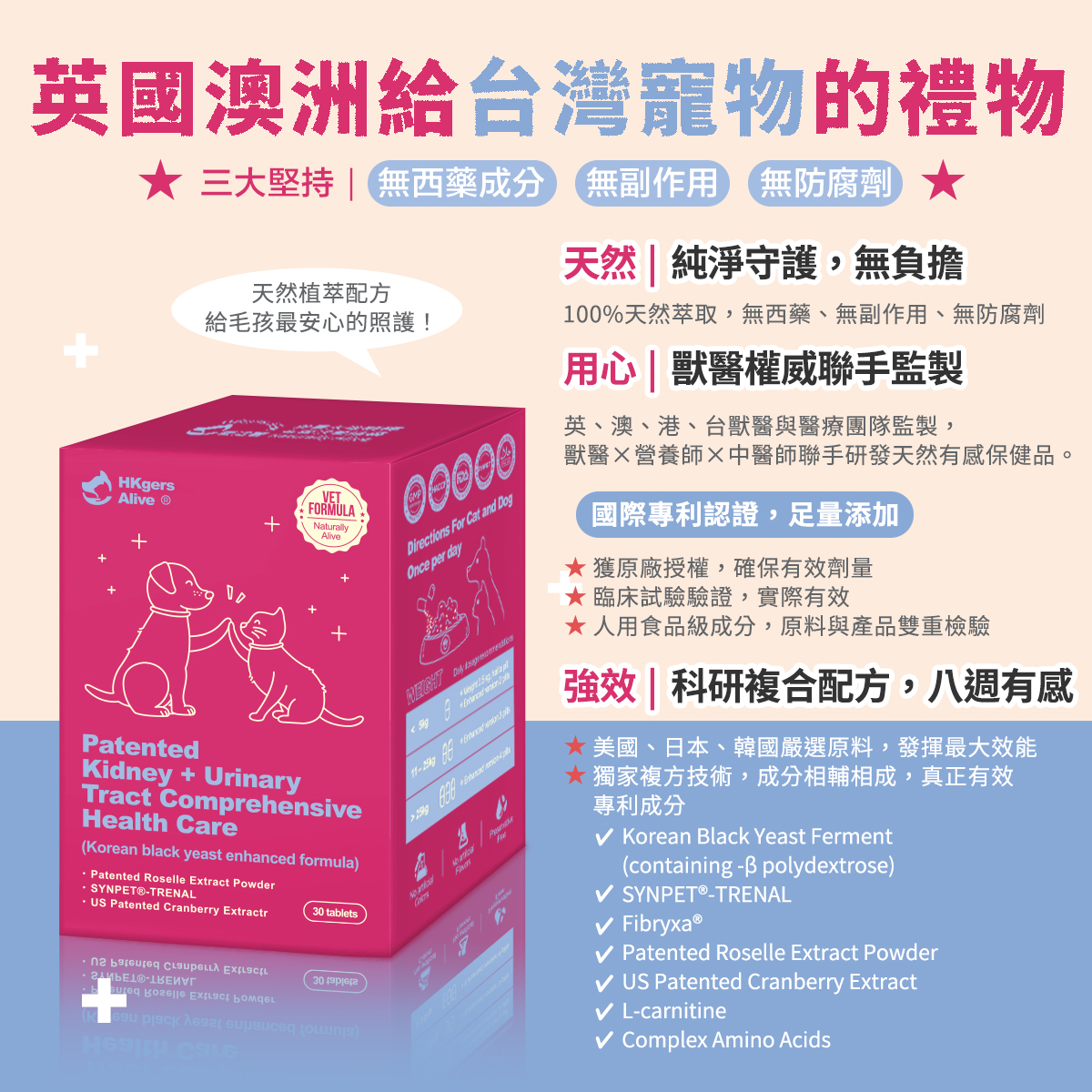 ［營活著］＜全面升級版＞ - 腎臟＋泌尿道全效【多國專利】（黑酵母強化配方）, , large