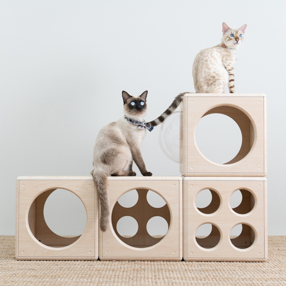 【paipaipets】Wooden Cube - Style Ａ, , large