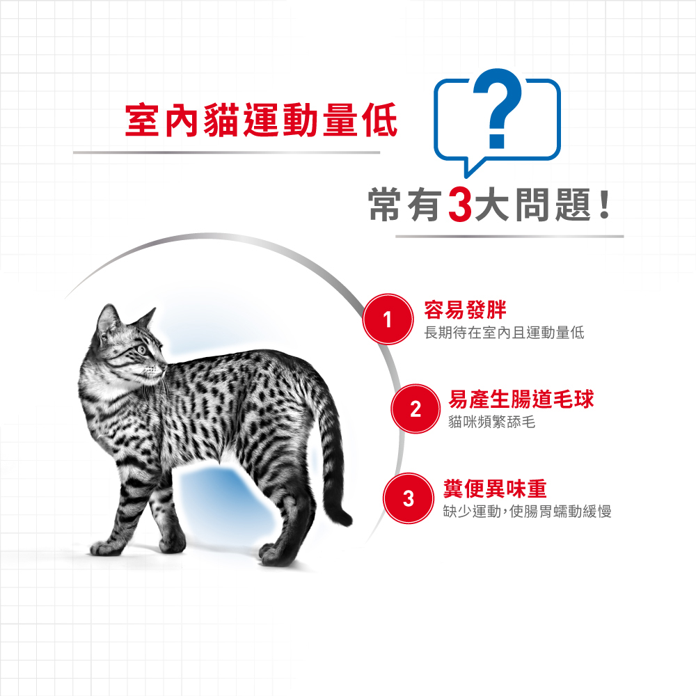 【Royal Canin法國皇家】室內成貓專用乾糧IN27, , large