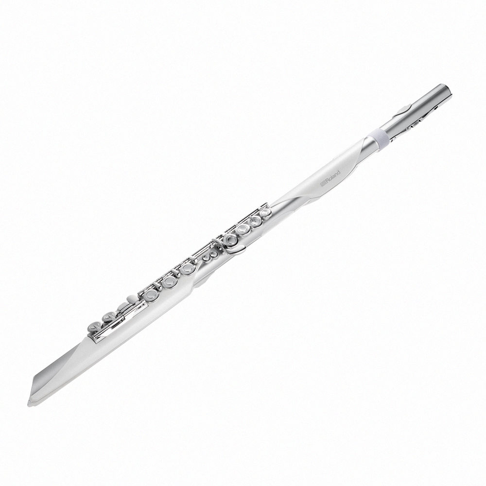 Roland Aerophone AE-Brisa, , large