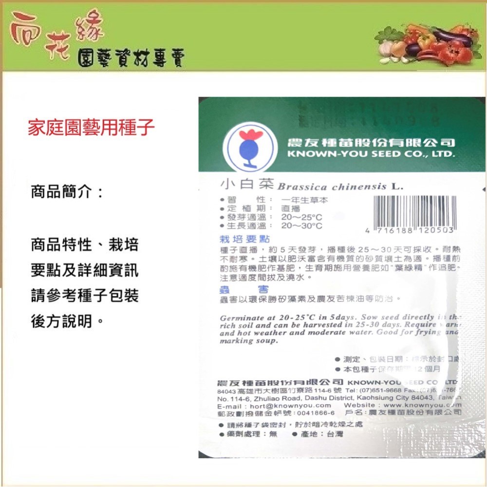 NongYou Bok Choy &ndash; Vegetable Seeds, , large