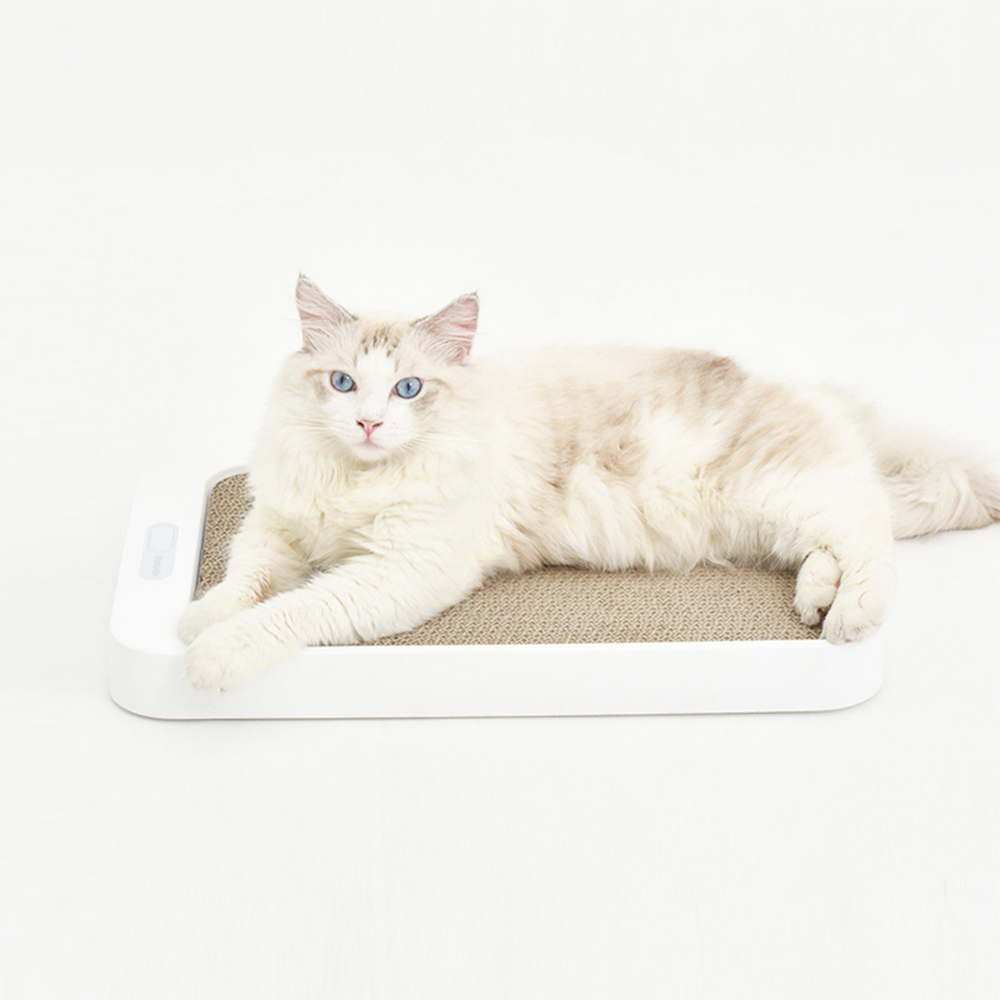 Homerunpet pet scale, , large