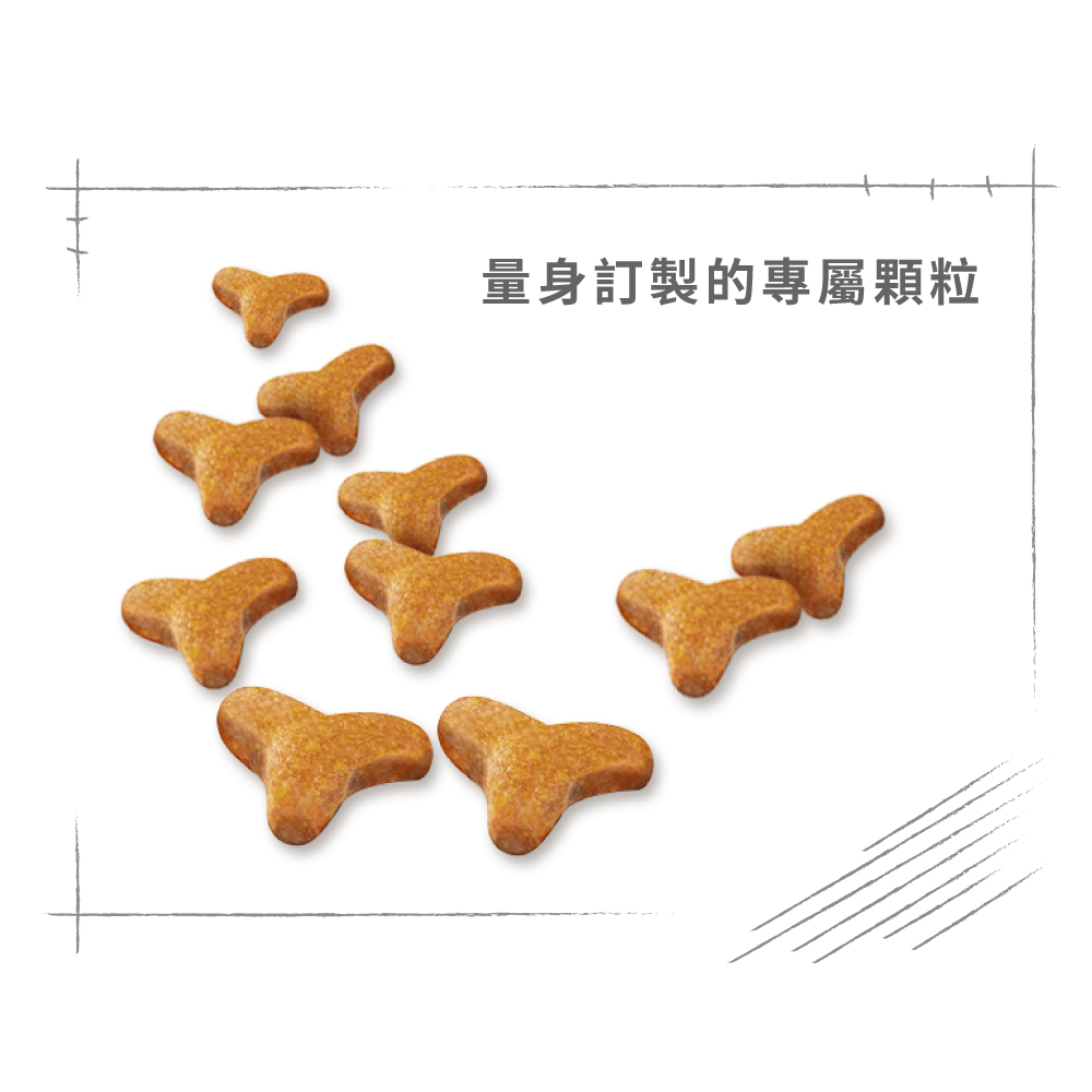 【Royal Canin法國皇家】豹貓成貓專用乾糧BG40, , large