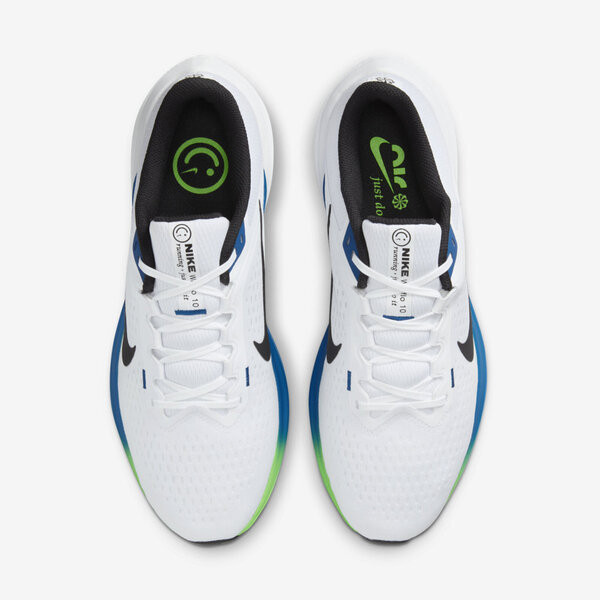 Nike Air Winflo 10 男 慢跑鞋 運動 路跑 訓練 基本款 緩震 白 藍 [DV4022-103], , large