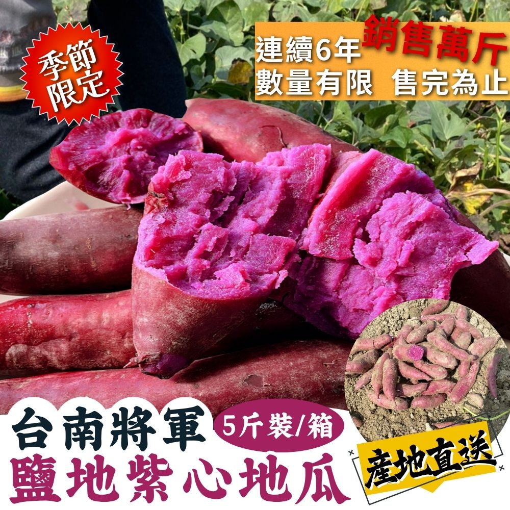 年後輕食首選首推 季節限定 皮薄肉質細緻軟嫩 台南將軍鹽地 紫心地瓜 5斤/箱  [2箱免運組]