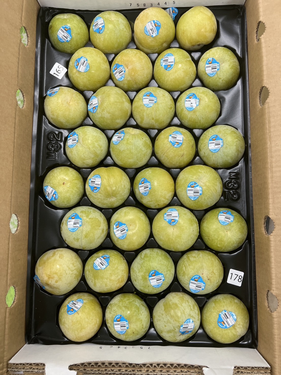 [芯鮮果]加州進口( 恐龍蛋 ), , large