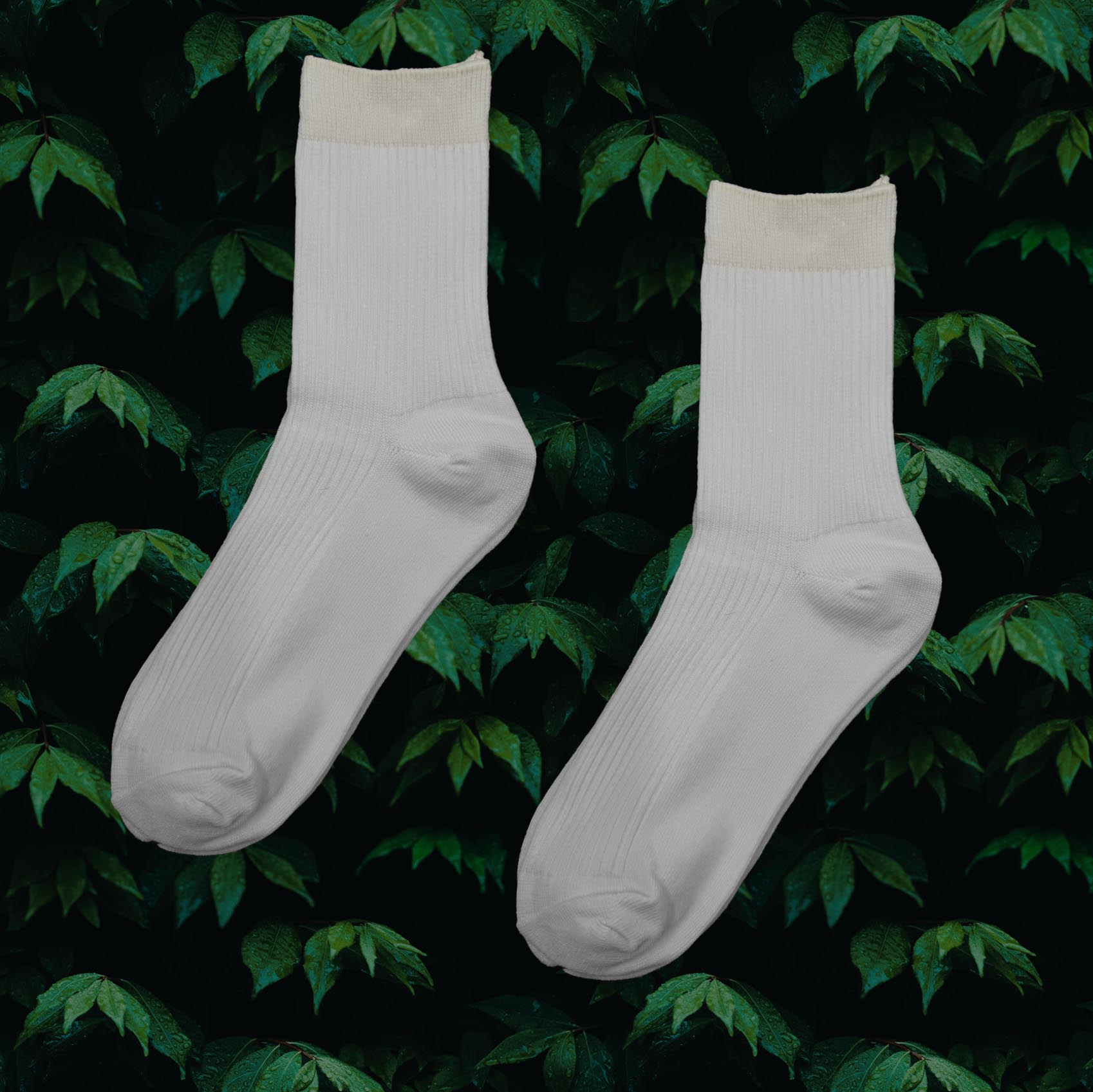 [Runway] Best-Selling In-Store | High CP Value Disposable Socks | Camping, Hiking, Travel, Business Trips | Striped Socks | White | 3 Pairs, , large