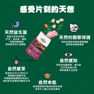 【寵愛生活本舖】西班牙進口-自然嗑-Dibaq迪貝可大型犬糧15kg 迪貝可, , large