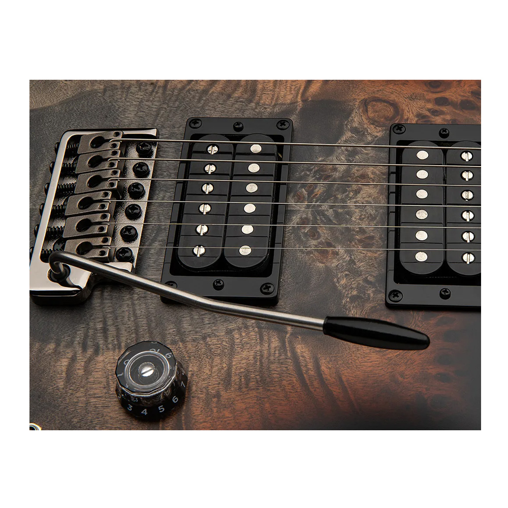 PRS SE CUSTOM 2408 POPLAR CCMB, , large