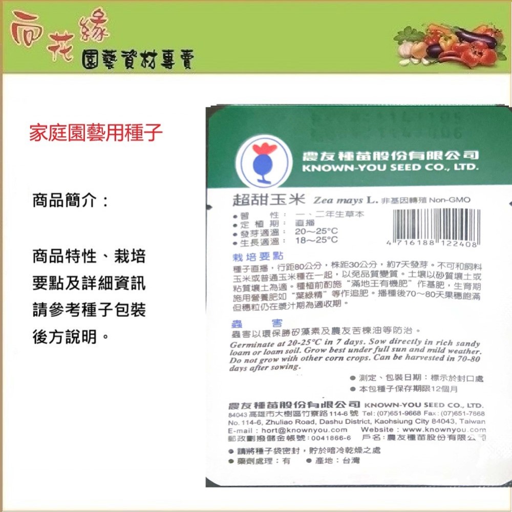 NongYou Super Sweet Corn &ndash; Vegetable Seeds, , large