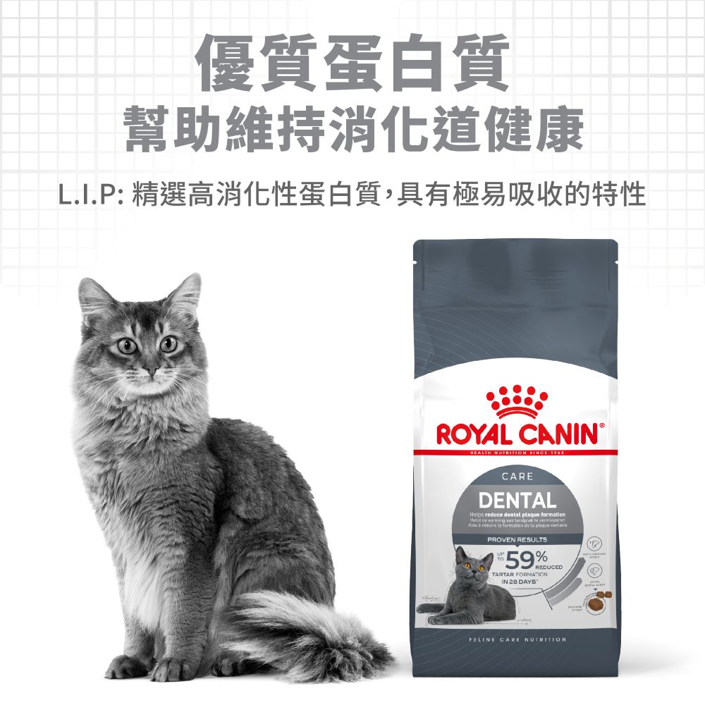 【拉拉寵物小舖】法國皇家 貓飼料 O30 潔牙保健成貓專用乾糧 1.5公斤, , large