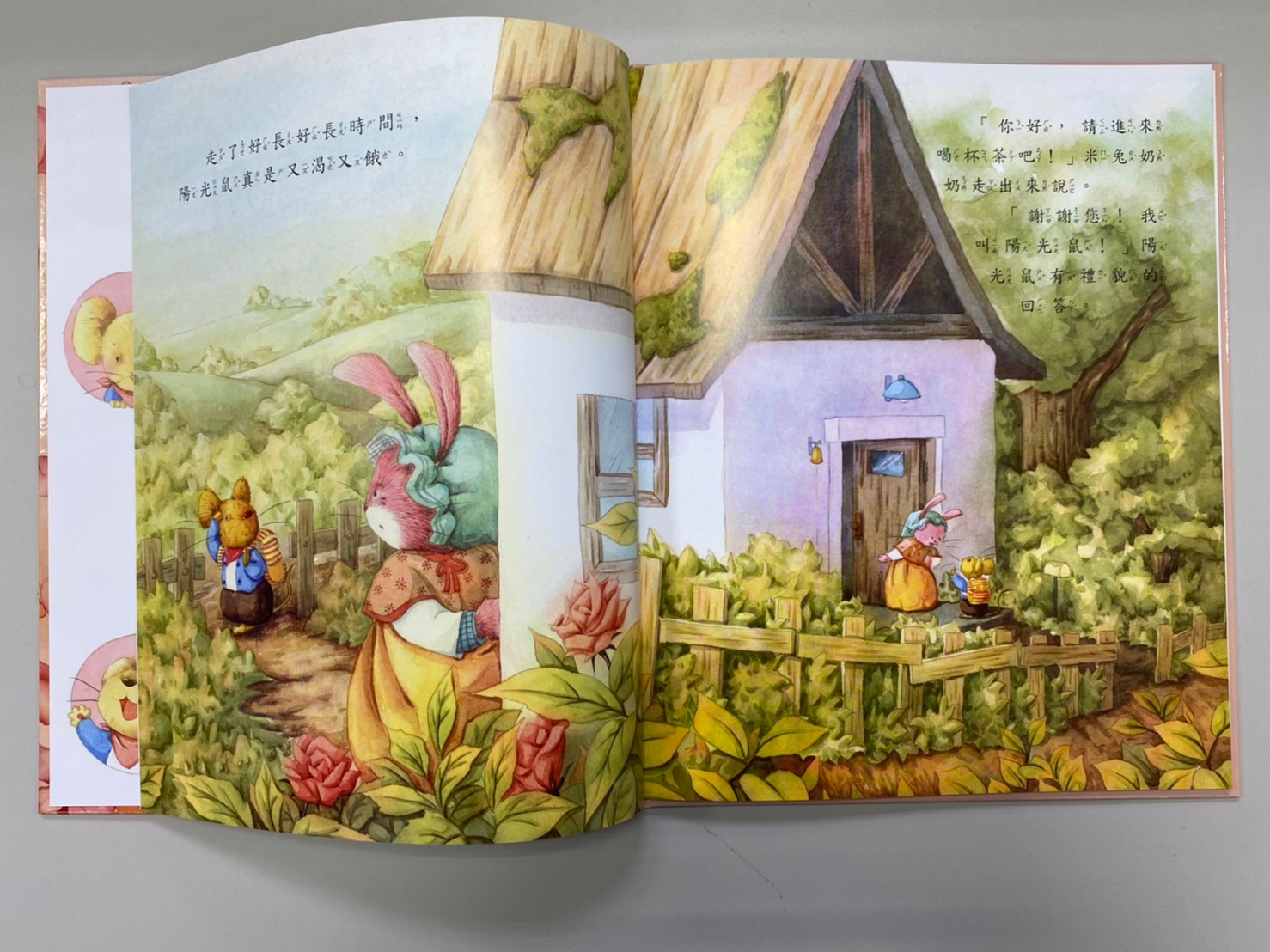 《南門書局》繪本精選大賞（兔）~共14本／性騷擾防治／身體安全／保護自己, , large