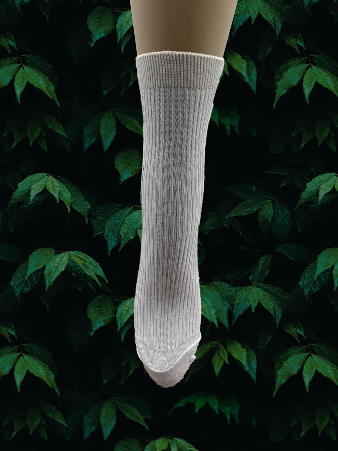 [Runway] Best-Selling In-Store | High CP Value Disposable Socks | Camping, Hiking, Travel, Business Trips | Striped Socks | White | 3 Pairs, , large
