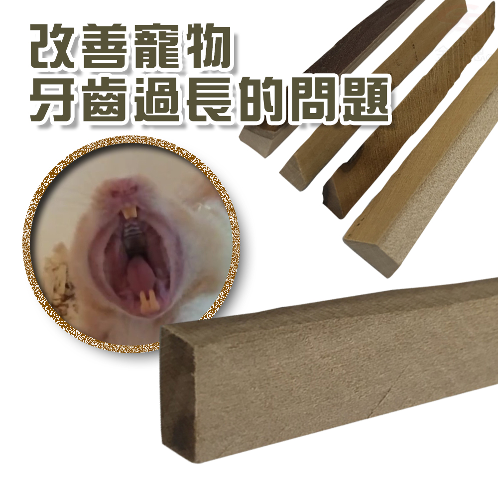 GS MALL 美國製造 一組5入 寵物磨牙棒 寵物磨牙 囓齒棒 磨牙棒 潔牙棒 木棒 齧齒類 LIXIT 磨牙, , large