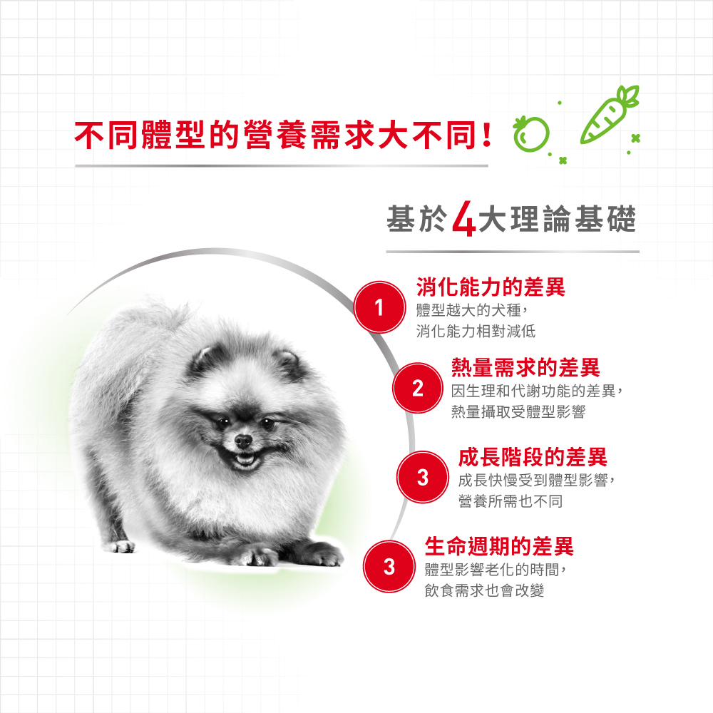 Royal Canin法國皇家 超小型熟齡犬8+歲齡XSA+8, , large