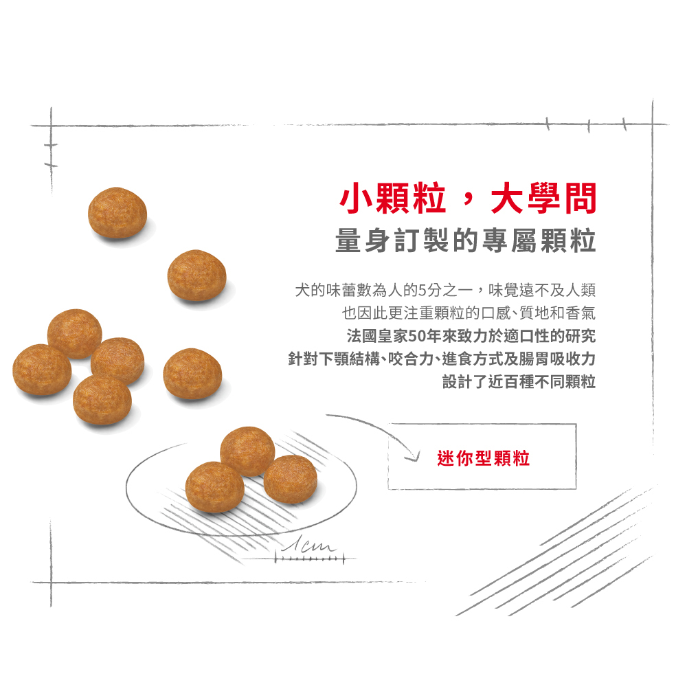 Royal Canin法國皇家 超小型熟齡犬8+歲齡XSA+8, , large