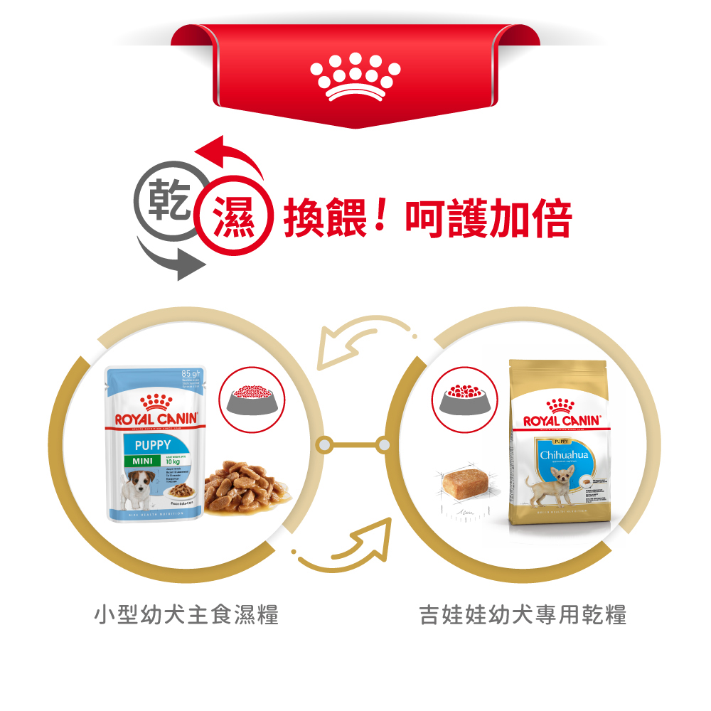 【Royal Canin法國皇家】吉娃娃幼犬CHP, , large