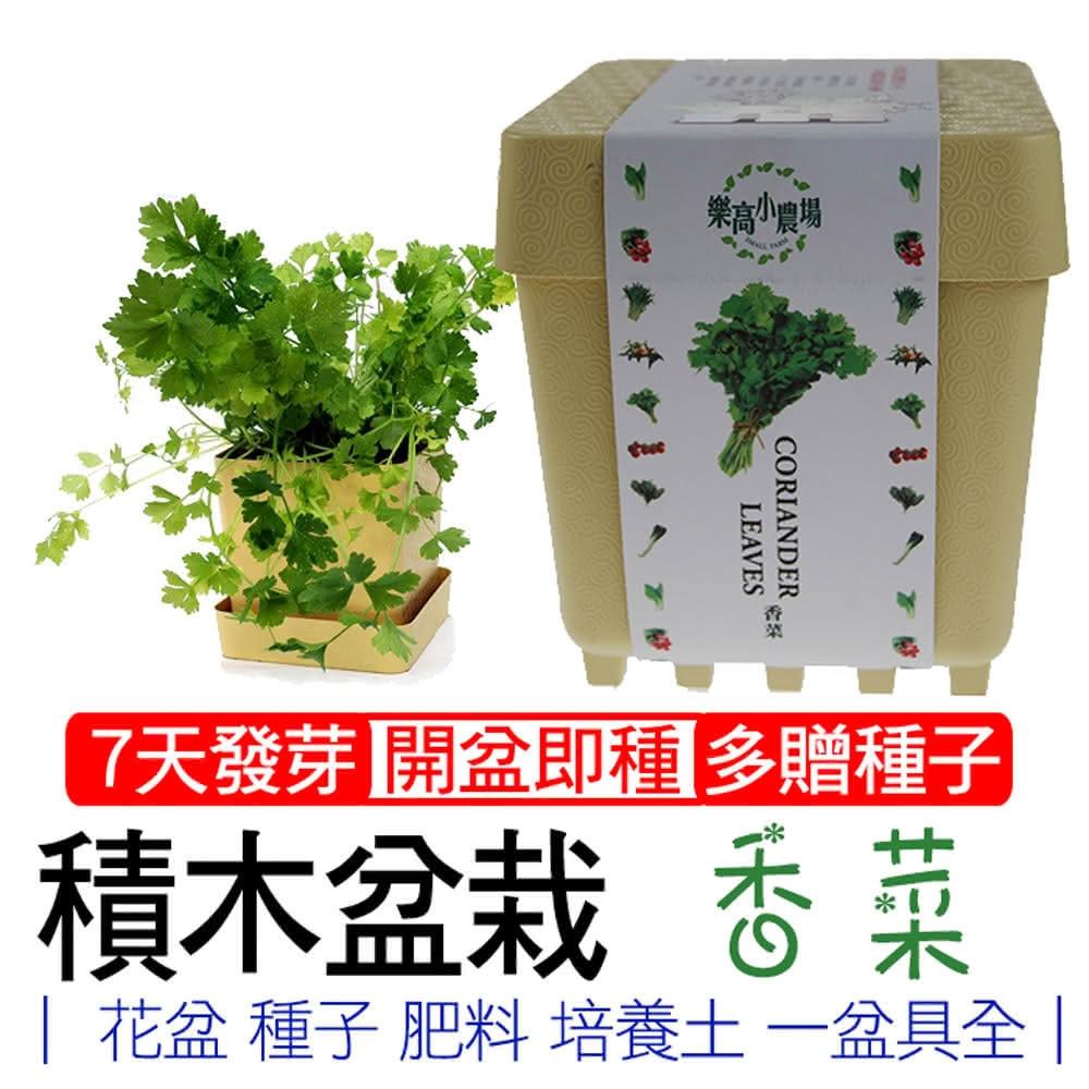 【心安購物】iPlant積木盆栽-香菜, , large