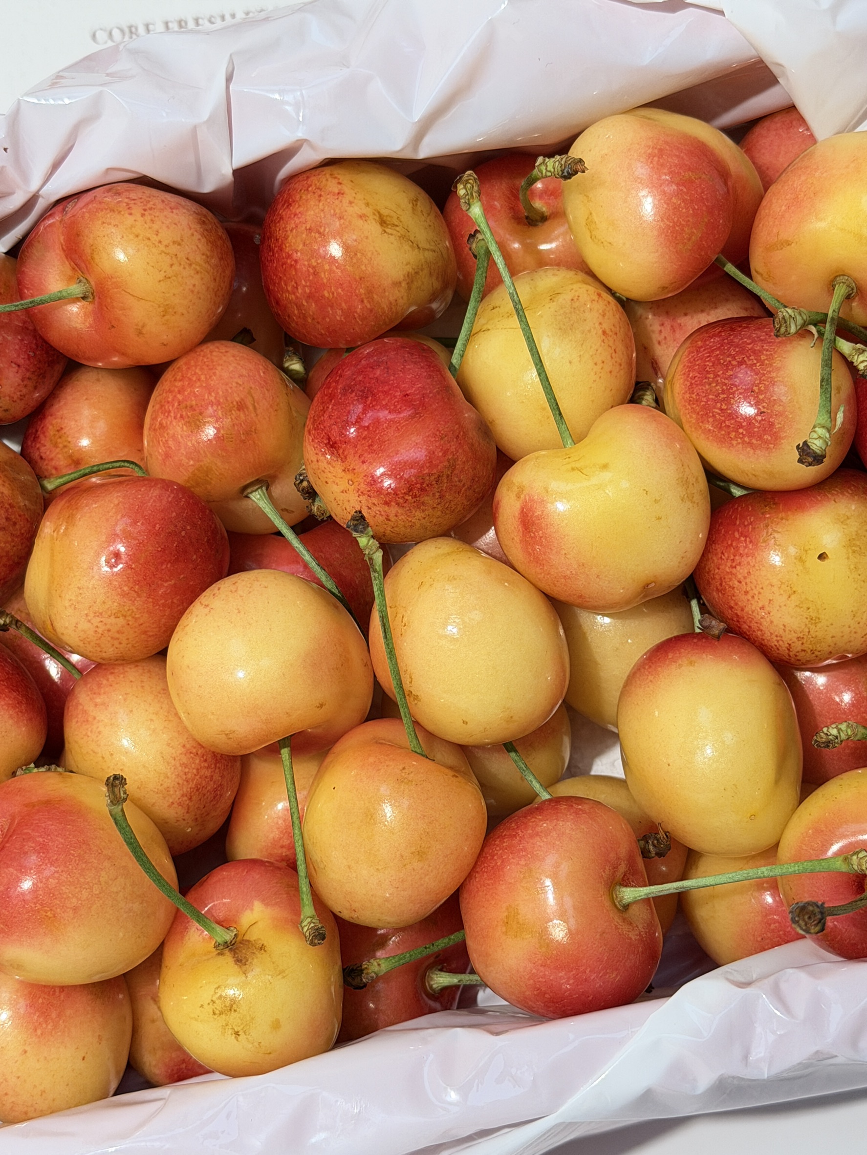 Skylar Rae® Caramel Strawberry White Cherries from Chile, , large