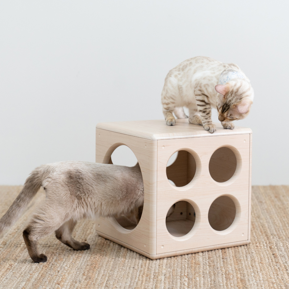 【paipaipets】Wooden Cube - Style S, , large