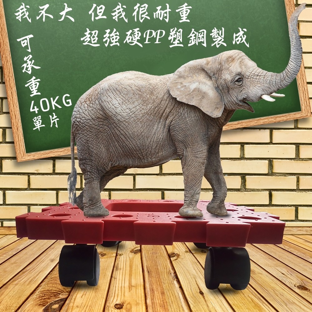 GS MALL 台灣製造 耐衝擊滑輪棧板 推車 板車 拖板車 棧板 高硬度棧板 滑輪棧板 烏龜車, , large