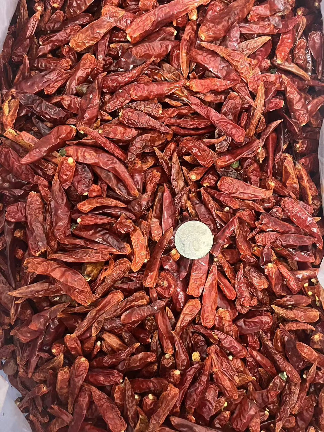 四川乾辣椒 朝天椒, , large