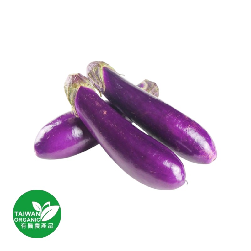 CFBIO Eggplant