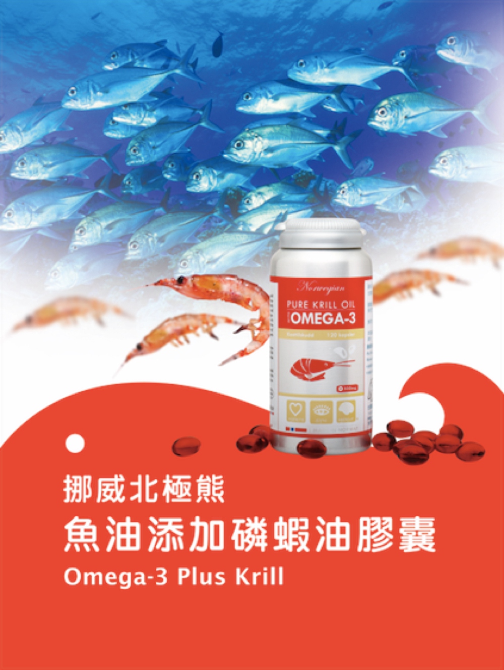 【Isbjorn挪威北極熊保健專家】挪威磷蝦油添加魚油膠囊三瓶加贈隨身小收納盒(3瓶共360顆), , large