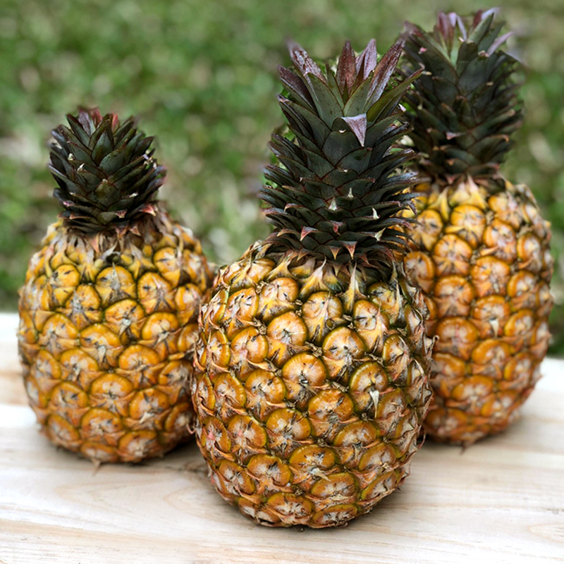 【17Buy】Pineapple, , large